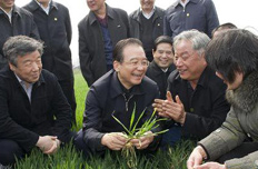 溫家寶:油價若漲將直補農民