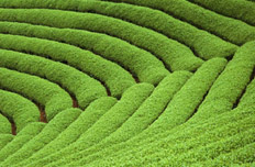 生態(tài)環(huán)境保護