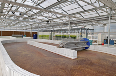 中石化石家莊煉化微藻培育池