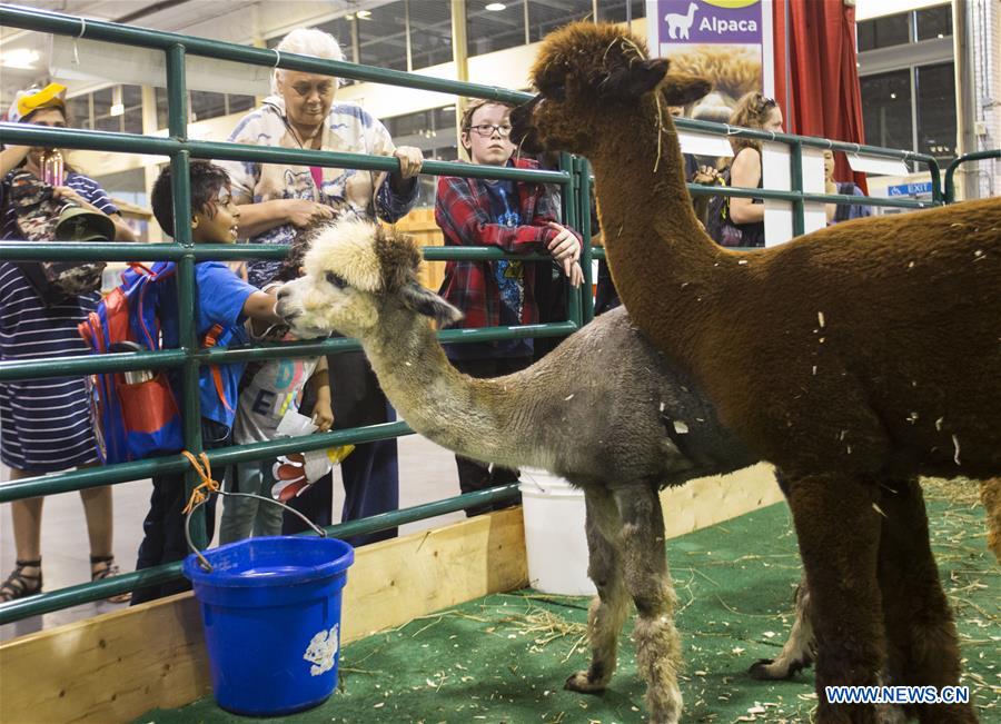 CANADA-TORONTO-CANADIAN NATIONAL EXHIBITION