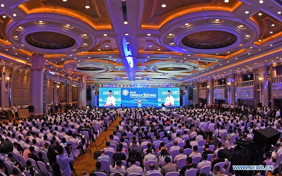 Xinhua Headlines: China's private businesses gain momentum amid challenges