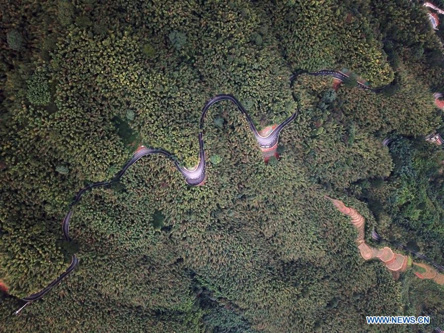 #CHINA-GUIZHOU-CHISHUI-FOREST PARK (CN*)