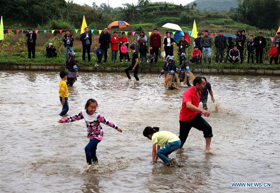 #CHINA-GUANGXI-HARVEST-FESTIVAL (CN)