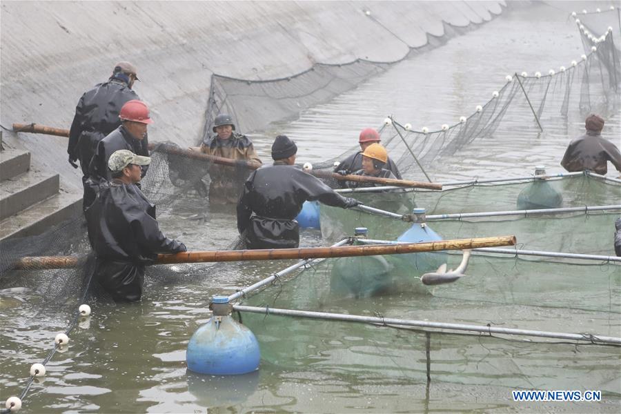 #CHINA-JIANGSU-FISHING (CN)