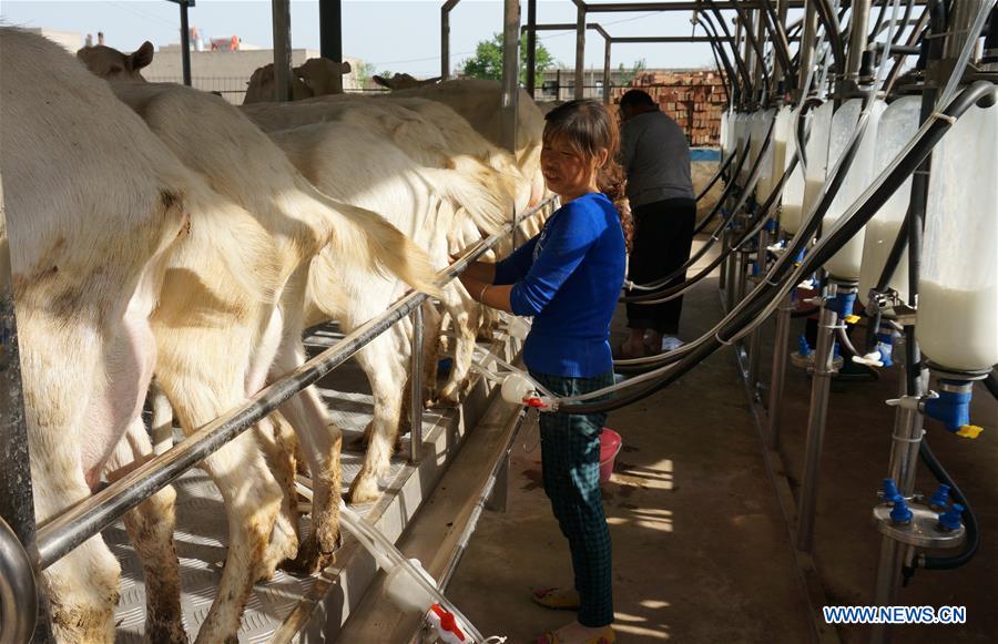 BELT AND ROAD-FOOD-CONNECTION