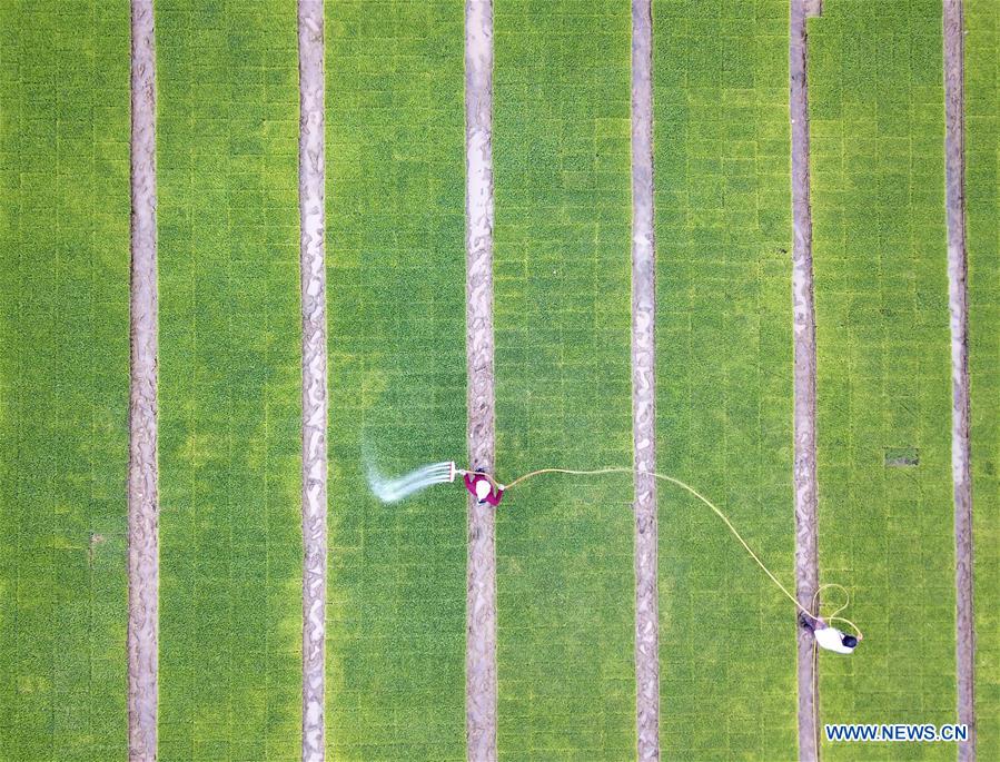 XINHUA PHOTOS OF THE DAY