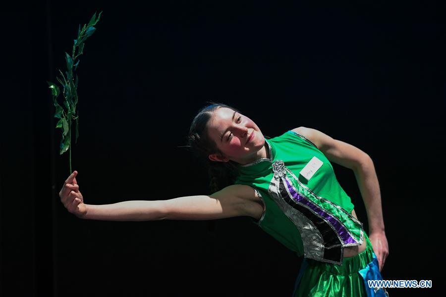 NEW ZEALAND-WELLINGTON-CHINESE BRIDGE