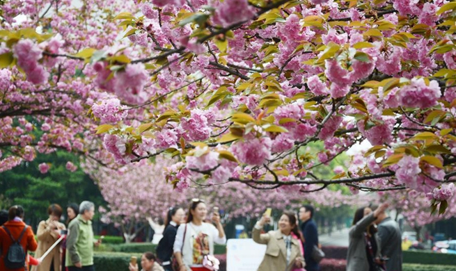 People across China spend leisure time outdoors