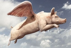 風口上A股的十大“飛豬” 你抓住了幾頭