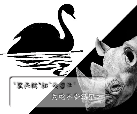 "黑天鵝"和"灰犀牛"為啥不受待見？