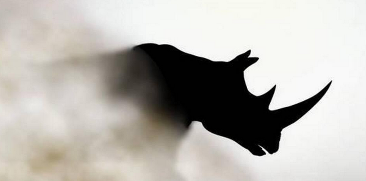 緊盯銀行業“灰犀牛” 穿透式監管料出重拳