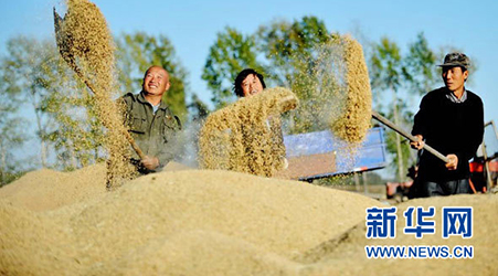 示范縣創(chuàng)建活動(dòng)簡(jiǎn)介