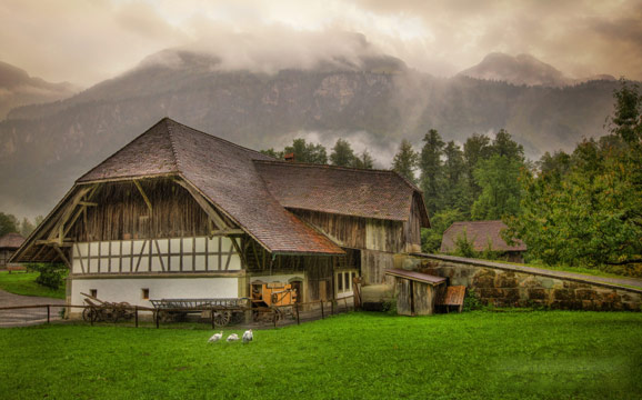 強調(diào)“美麗家園” 新農(nóng)村建設(shè)邁出新步伐