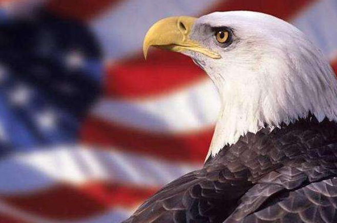 若鷹派掌權(quán)會發(fā)生什么?