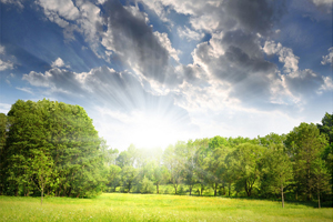 綠增長:環境問題帶來的新商機
