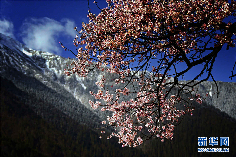 行駕山河 邂逅美麗