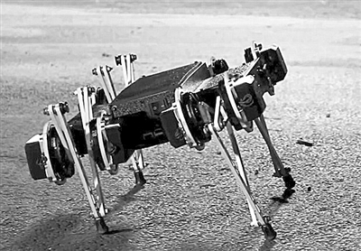 可愛機器人 體型靈巧如小狗 能開門翻圍墻