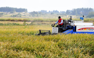 40年，小崗人的18個“第一次”