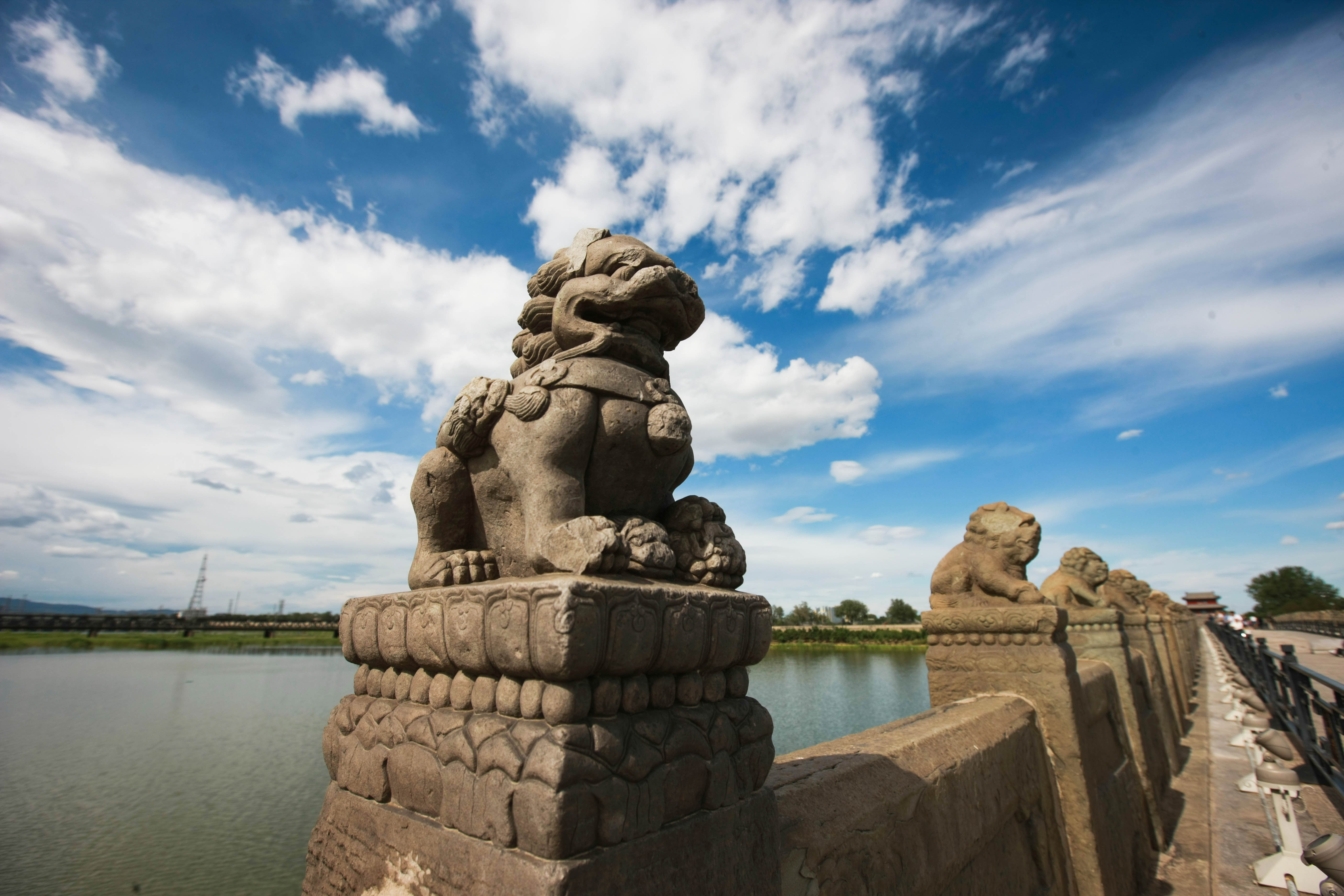 這些照片，來之不易