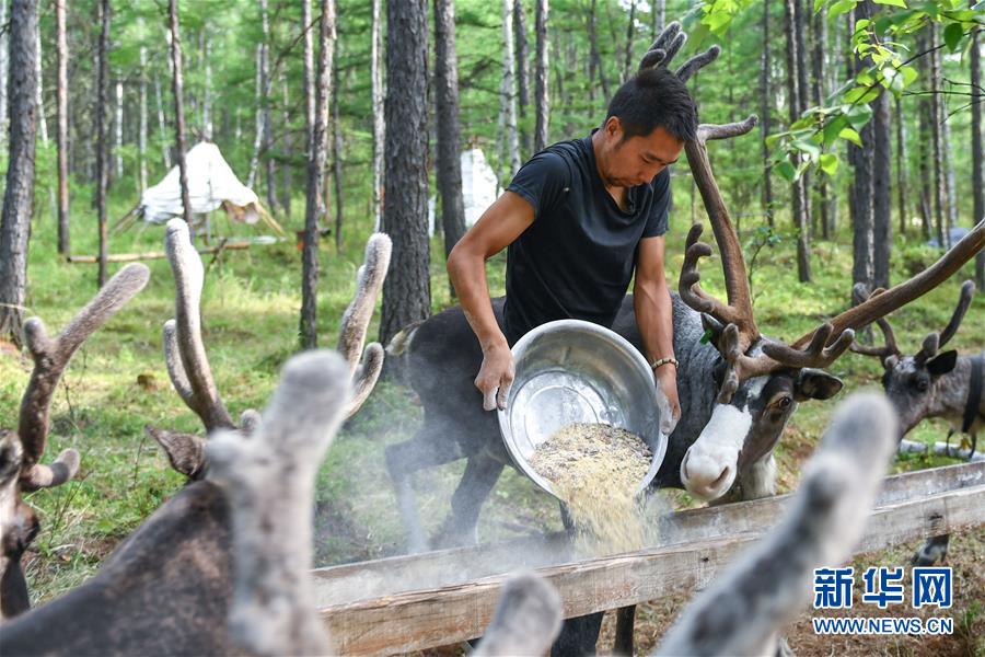 【聚焦脫貧攻堅(jiān)】這組數(shù)字，來之不易
