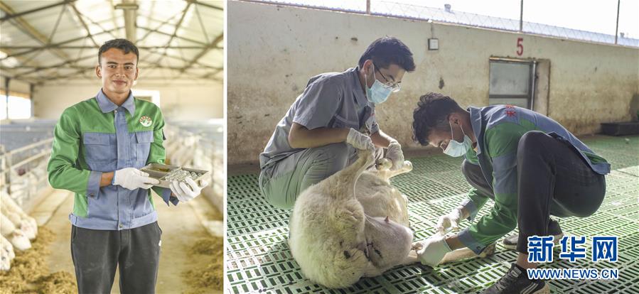 （脫貧攻堅·圖片故事）（9）脫貧靠雙手——新疆和田地區未摘帽縣就業見聞