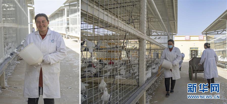 （脫貧攻堅·圖片故事）（15）脫貧靠雙手——新疆和田地區未摘帽縣就業見聞