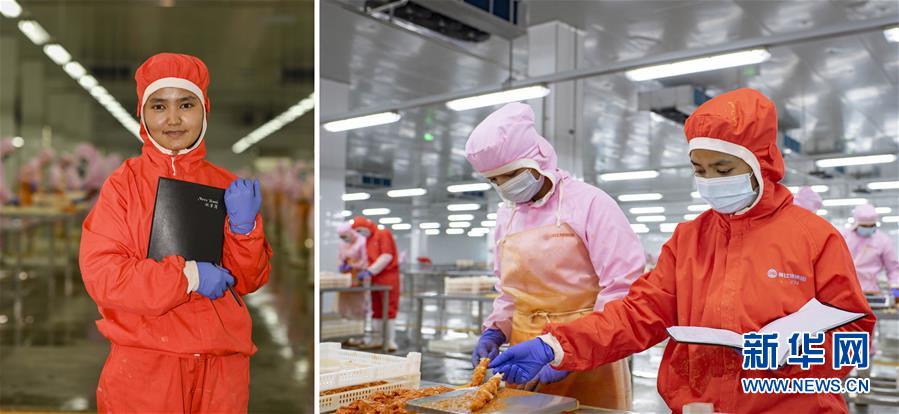 （脫貧攻堅·圖片故事）（16）脫貧靠雙手——新疆和田地區未摘帽縣就業見聞