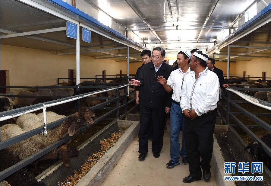 9月27日，中共中央政治局常委、全國(guó)政協(xié)主席、中央代表團(tuán)團(tuán)長(zhǎng)俞正聲率中央代表團(tuán)部分成員赴喀什地區(qū)莎車縣看望各族干部群眾。這是俞正聲在新疆生產(chǎn)建設(shè)兵團(tuán)第三師莎車農(nóng)場(chǎng)實(shí)地察看萬(wàn)只羊養(yǎng)殖基地。新華社記者 饒愛民 攝