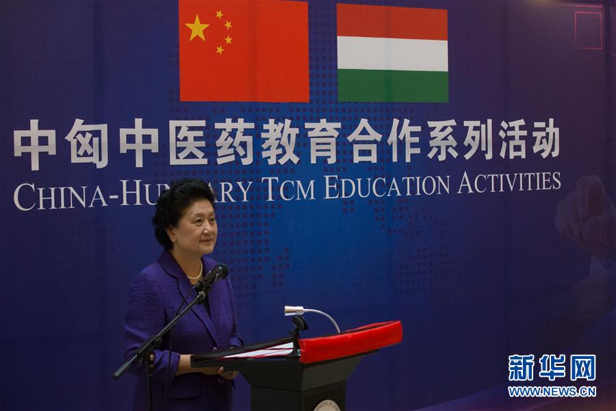6月18日，在匈牙利布達佩斯，中國國務院副總理劉延東出席中匈中醫藥教育合作系列活動時講話。中國國務院副總理劉延東18日在布達佩斯考察匈牙利塞梅爾維斯醫科大學并出席中匈中醫藥教育合作系列活動。 新華社發（弗爾季·奧蒂洛攝）