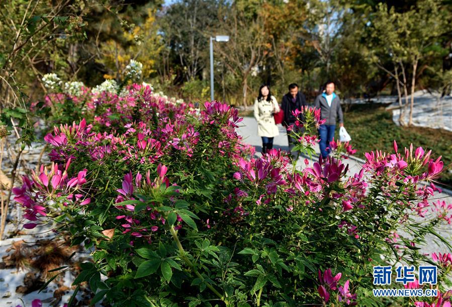 (圖文互動)(1)藍天白云講述北京新時代新故事——北京站上新時代發展新起點