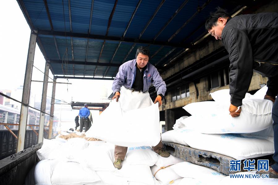 （新春走基層）（2）安徽：農資“春運”助春耕