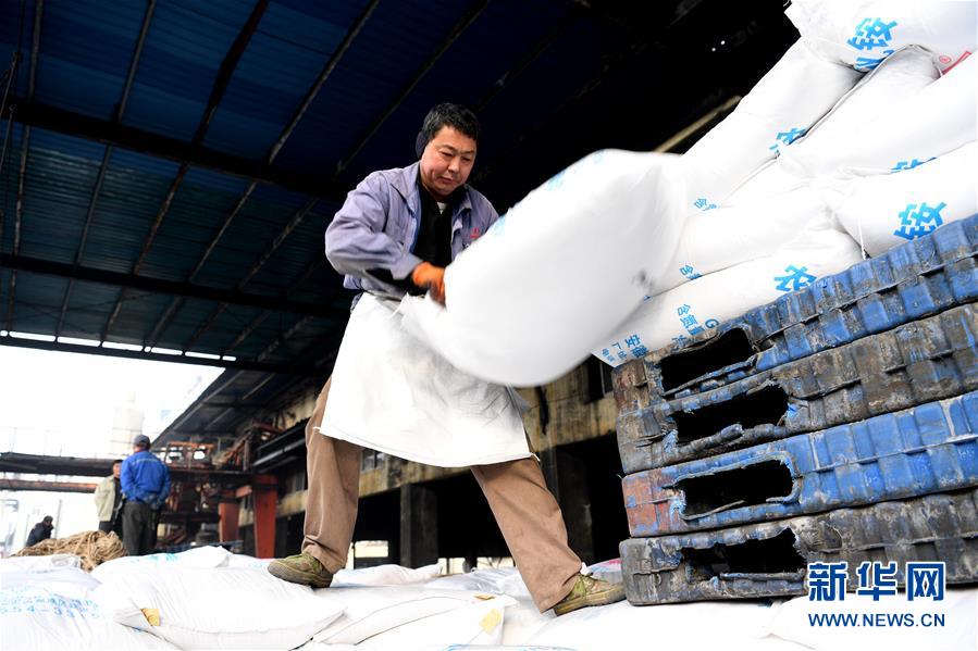 (新春走基層)(3)安徽:農(nóng)資“春運”助春耕