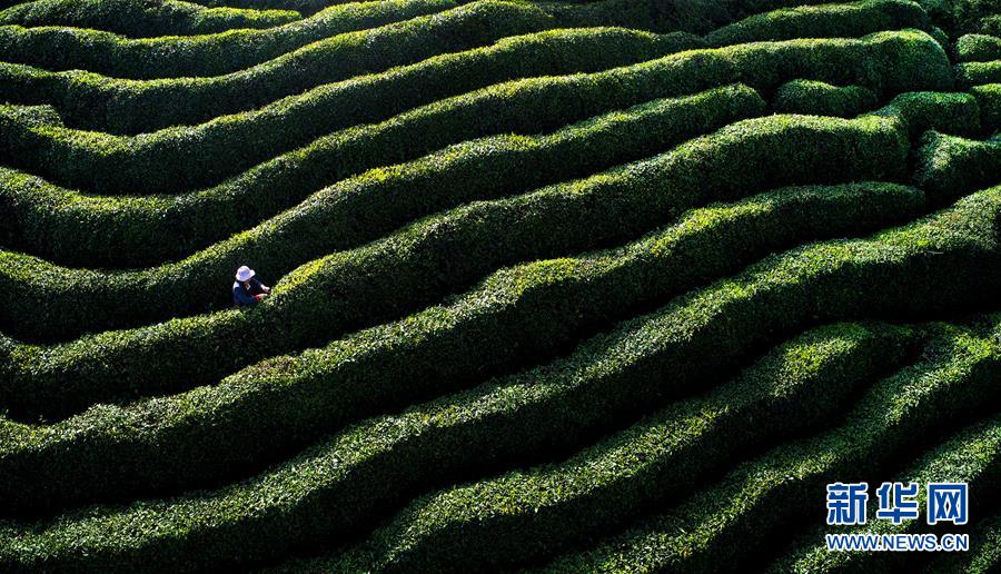 （鏡觀中國·新華網）（10）新華社國內照片一周精選