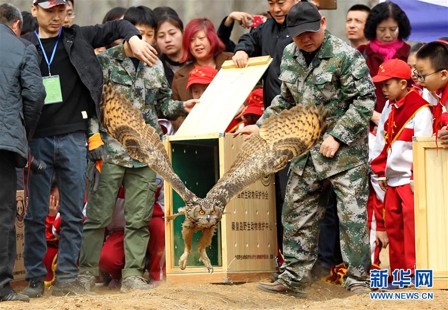 （鏡觀中國·新華網）（14）新華社國內照片一周精選