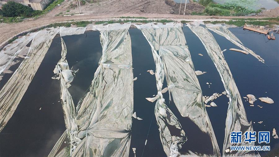 （新華視點·圖文互動）（4）中央督察兩年有的絲毫未改，有的不減反增——江蘇泰興數萬噸化工廢料和污泥堆放長江邊調查