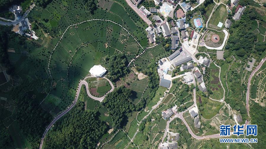 （大江奔流——來自長江經濟帶的報道·圖文互動）（1）在這里，做一個幸福的農民