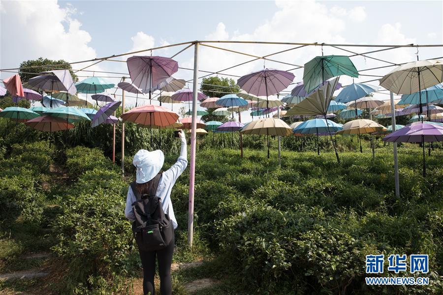 （大江奔流——來自長江經濟帶的報道·圖文互動）（4）在這里，做一個幸福的農民
