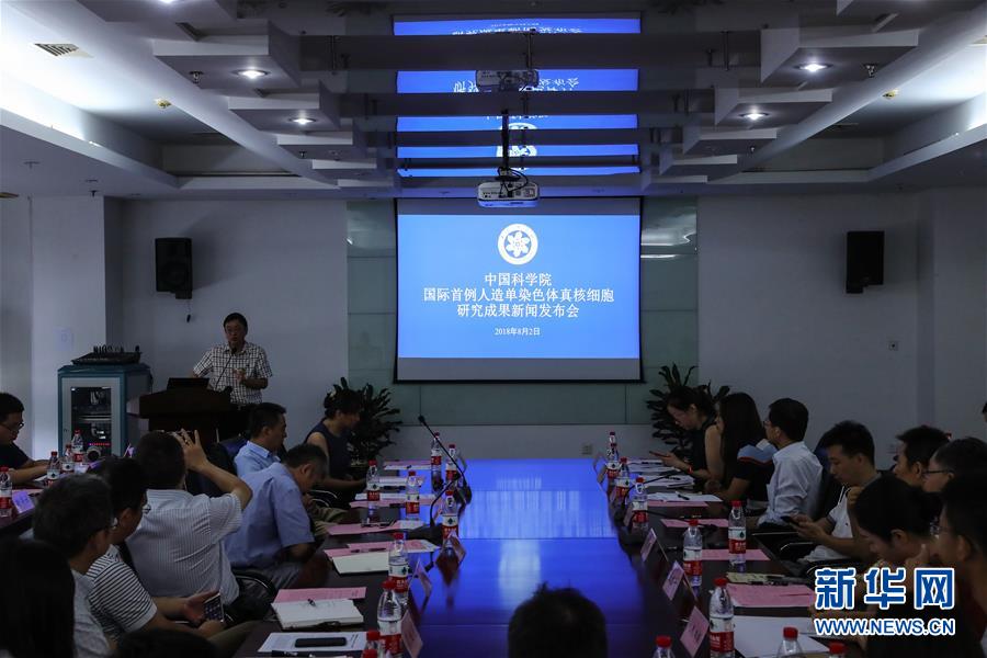 (新華全媒頭條·圖文互動)(6)人造單條染色體真核細(xì)胞問世 我國開啟合成生物學(xué)研究新時代