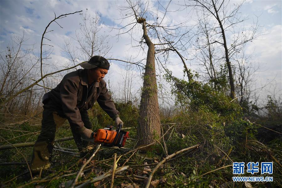 (大江奔流——來自長江經(jīng)濟帶的報道·新華全媒頭條·圖文互動)(6)打造經(jīng)濟高質(zhì)量發(fā)展的強勁引擎——深入推動長江經(jīng)濟帶發(fā)展述評