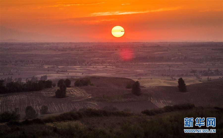 (圖文互動)(1)藝術家進村 新疆古老村莊煥發(fā)新顏