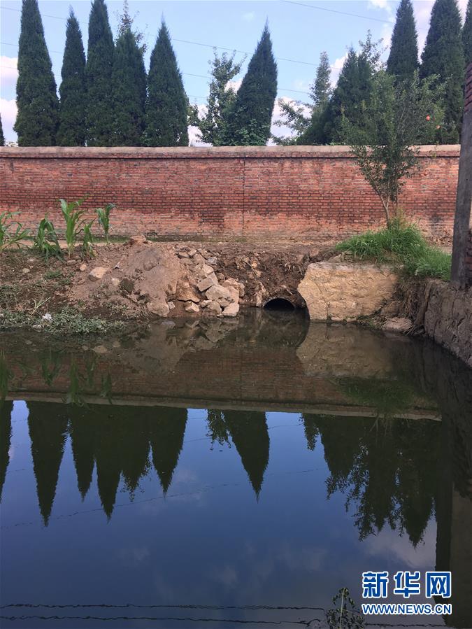 (新華視點(diǎn)·圖文互動)(3)上游洪水來襲下游魚蟹死亡,泄洪為何變泄污?