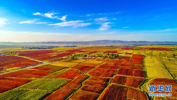 秋收的中國，你想象不到的美！但更美的是……