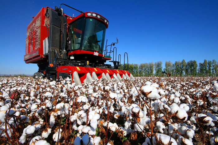 秋收的中國，你想象不到的美！但更美的是……