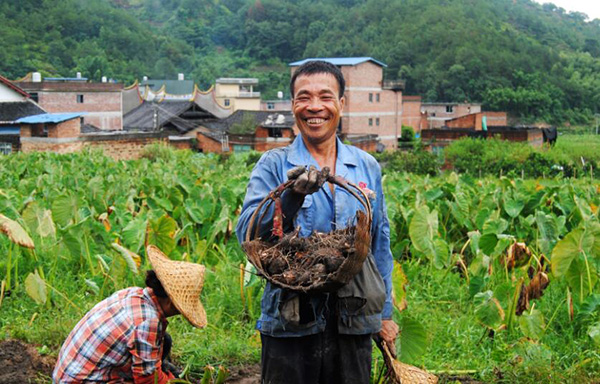 秋收的中國，你想象不到的美！但更美的是……