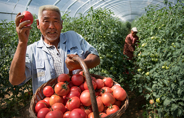 秋收的中國，你想象不到的美！但更美的是……