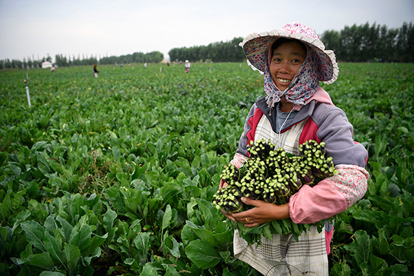 秋收的中國，你想象不到的美！但更美的是……