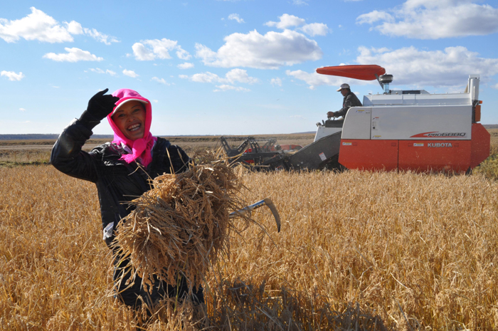 秋收的中國，你想象不到的美！但更美的是……