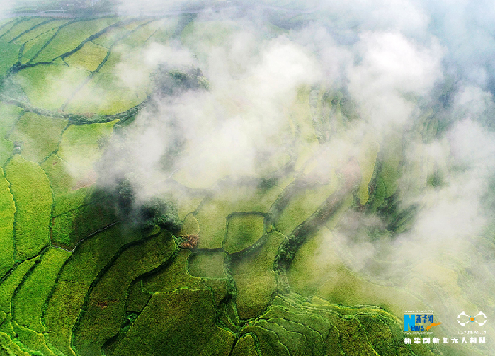 秋收的中國，你想象不到的美！但更美的是……