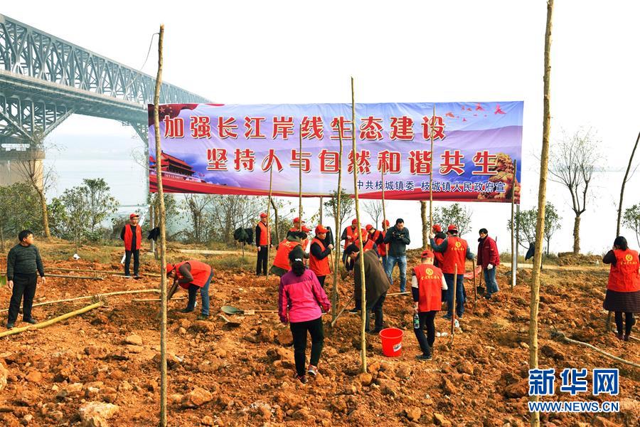 (在習近平新時代中國特色社會主義思想指引下——新時代新作為新篇章·圖文互動)(2)湖北枝城鎮:片區黨建助推鄉村全面振興