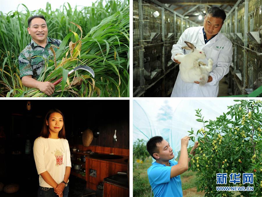 （在習(xí)近平新時(shí)代中國特色社會(huì)主義思想指引下——新時(shí)代新作為新篇章·圖文互動(dòng)）（7）三年村干部 一世農(nóng)村情——記貴州石阡農(nóng)村扶貧干部